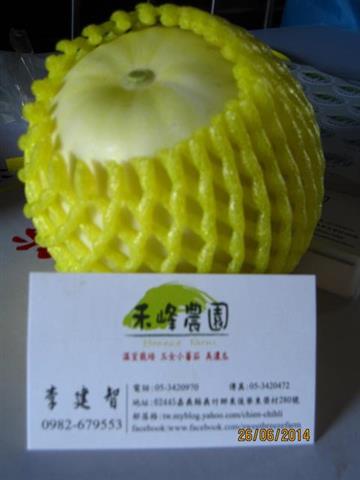 甜瓜 產品圖片（產品編號 469403）