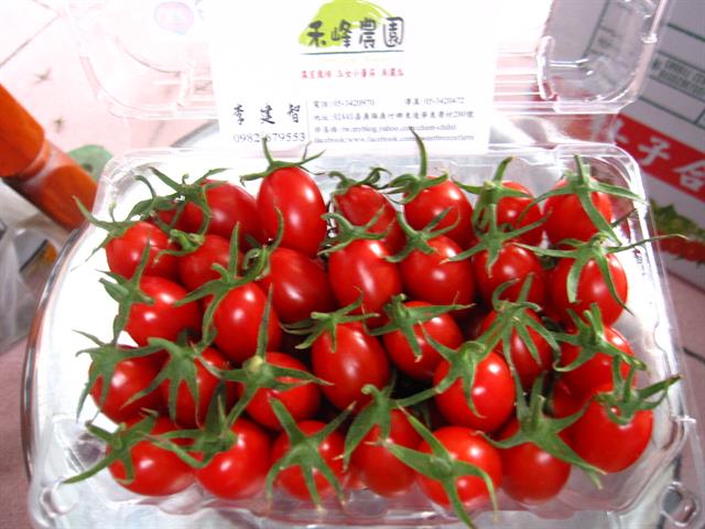 番茄(含小番茄) 產品圖片（產品編號 469404）