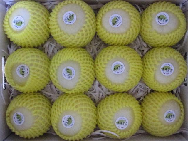 甜瓜 產品圖片（圖片編號 620827）