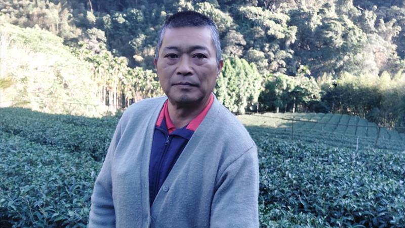 茶製品-茶 產品圖片（圖片編號 622946）
