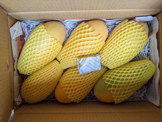 芒果 產品圖片（圖片編號 623679）