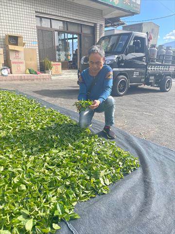 茶製品-茶 產品圖片（產品編號 471627）