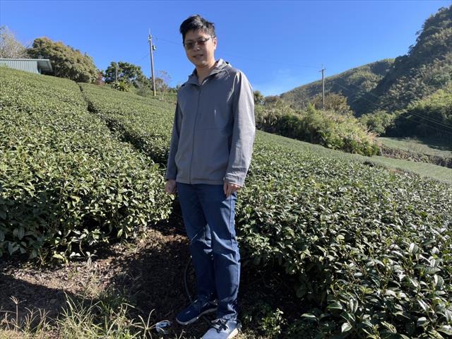 茶製品-茶 產品圖片（圖片編號 626844）