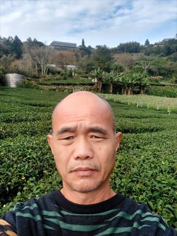 茶製品-茶 產品圖片（圖片編號 626859）