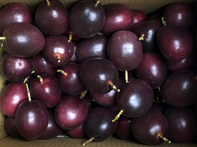 百香果 產品圖片（產品編號 472043）