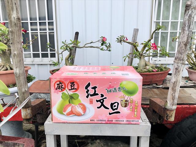紅肉文旦 產品圖片（產品編號 474622）