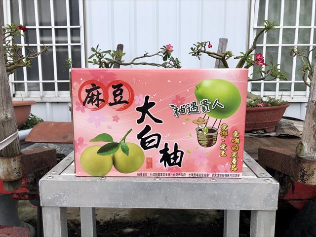 白柚 產品圖片（產品編號 474625）