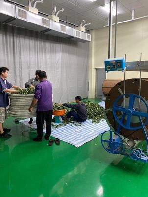 茶製品-茶 產品圖片（圖片編號 632832）