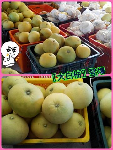 產品圖片