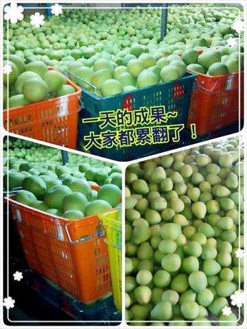 產品圖片