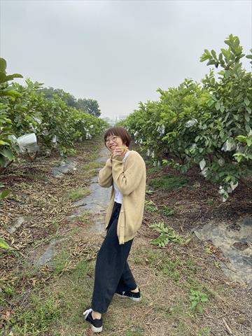 番石榴(芭樂) 產品圖片（圖片編號 634907）