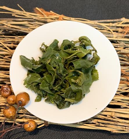 茶製品-茶 產品圖片（產品編號 477869）