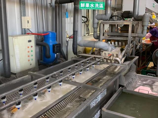 鳳梨 產品圖片（圖片編號 636396）