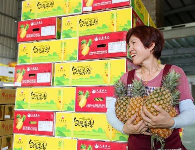 鳳梨 產品圖片（圖片編號 636397）