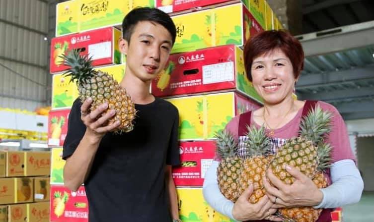 鳳梨 產品圖片（產品編號 477875）