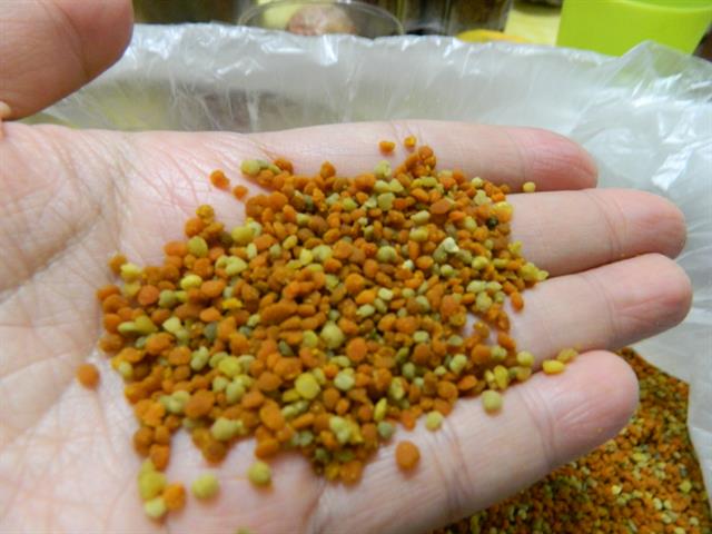 蜂產品-花粉 產品圖片（圖片編號 638681）
