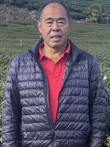 茶製品-茶 產品圖片（圖片編號 639806）