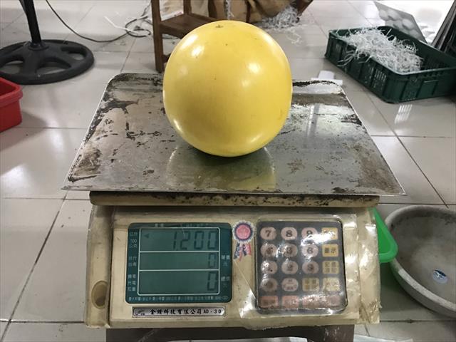 黃金果(黃晶果,加蜜蛋黃果,蜜蛋黃果) 產品圖片（圖片編號 640362）