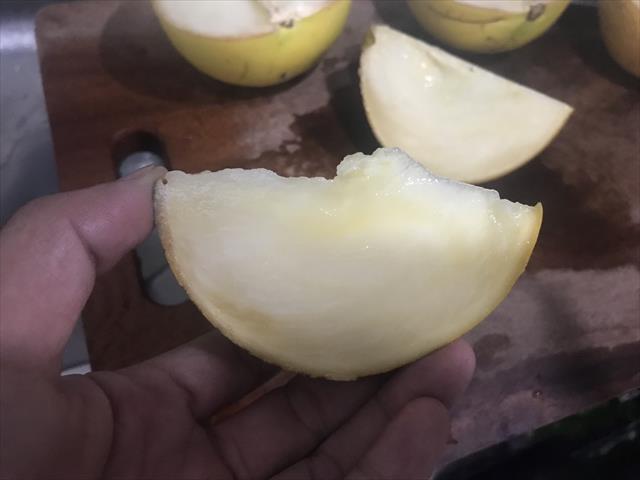 黃金果(黃晶果,加蜜蛋黃果,蜜蛋黃果) 產品圖片（圖片編號 640363）