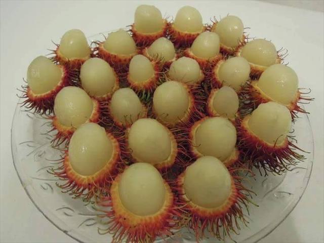 紅毛丹 產品圖片（圖片編號 640367）