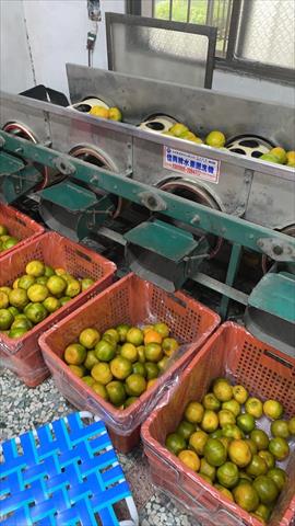 椪柑 產品圖片（圖片編號 641648）