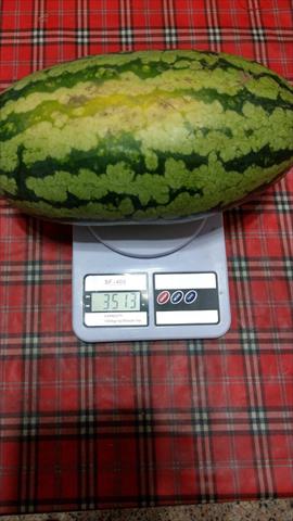 產品圖片
