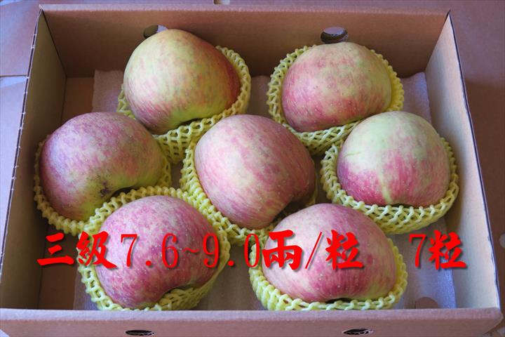 蘋果 產品圖片（產品編號 482394）