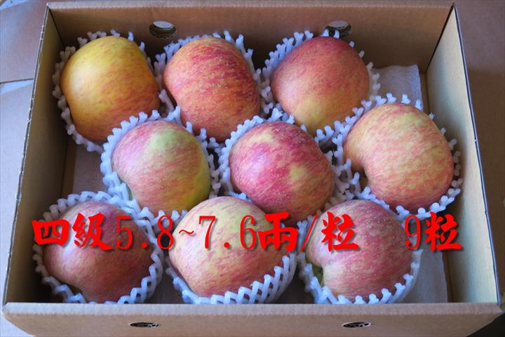 蘋果 產品圖片（圖片編號 644018）