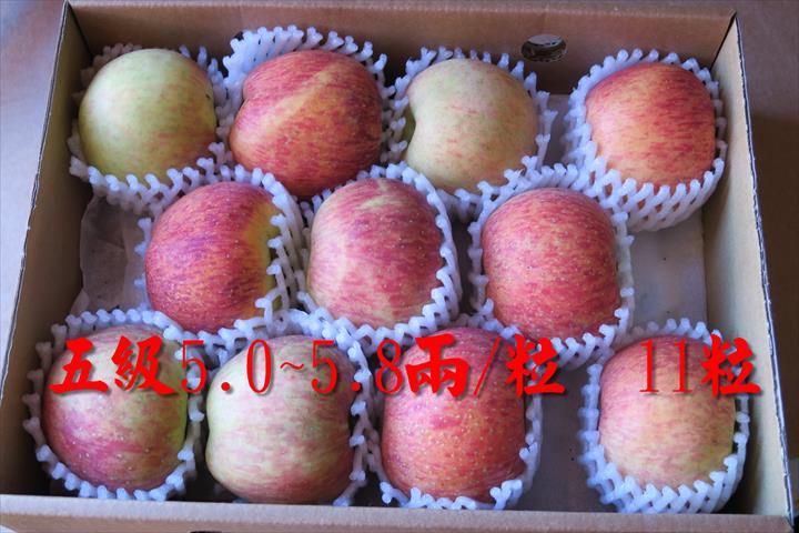 蘋果 產品圖片（圖片編號 644019）