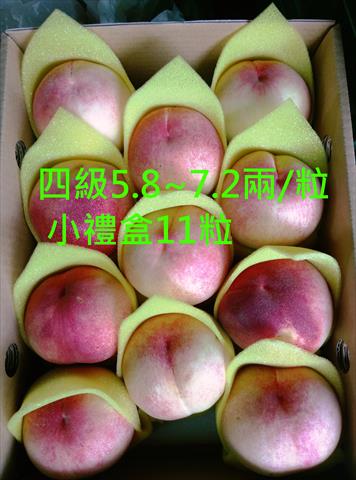 桃 產品圖片（圖片編號 644022）