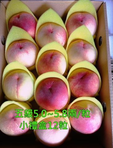 桃 產品圖片（圖片編號 644023）
