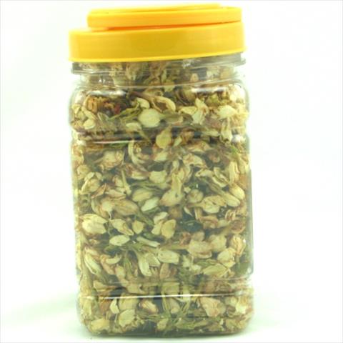 茉莉 產品圖片（圖片編號 644036）
