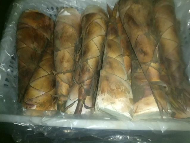 竹筍 產品圖片（圖片編號 644055）