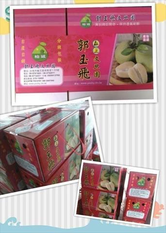 文旦柚 產品圖片（產品編號 483697）