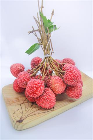 荔枝 產品圖片（圖片編號 647156）