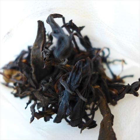 茶製品-茶 產品圖片（產品編號 485884）