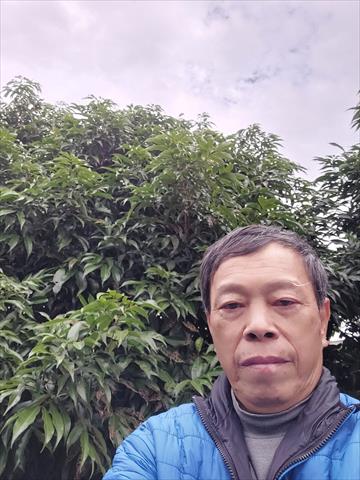 荔枝 產品圖片（產品編號 490456）