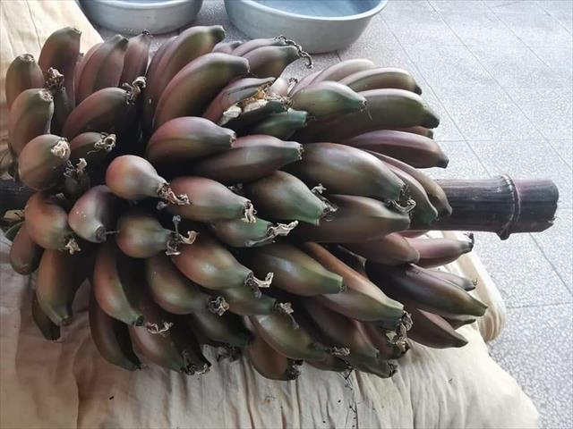 香蕉 產品圖片（圖片編號 658175）
