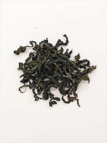 茶製品-茶 產品圖片（產品編號 485503）