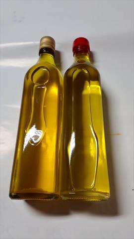 油茶製品-苦茶油 產品圖片（產品編號 491298）