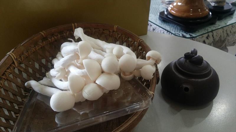 白靈菇 產品圖片（圖片編號 660190）