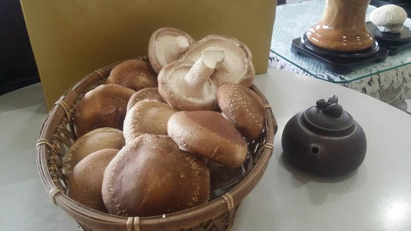 香菇 產品圖片（圖片編號 660191）