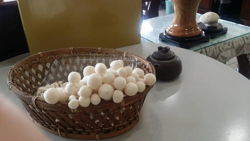 雪白菇(美白菇) 產品圖片（圖片編號 660194）