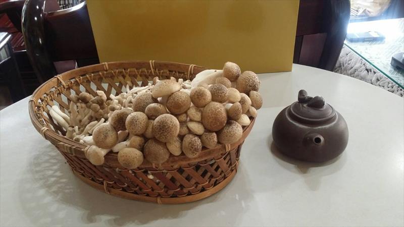 鴻喜菇 產品圖片（圖片編號 660195）