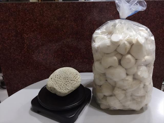 杏鮑菇 產品圖片（圖片編號 660201）