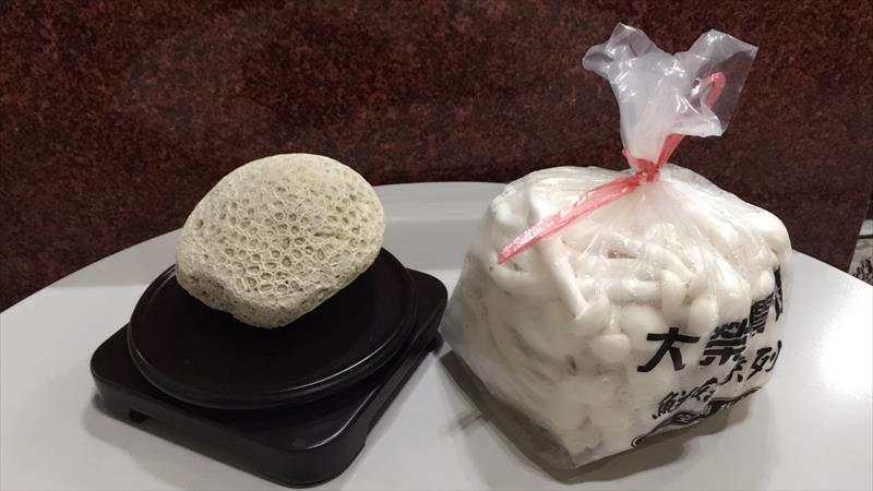 白靈菇 產品圖片（圖片編號 660205）