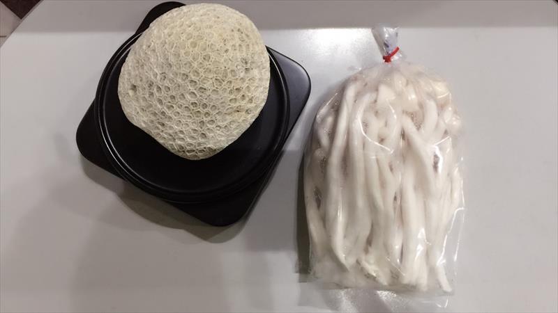 白靈菇 產品圖片（圖片編號 660206）