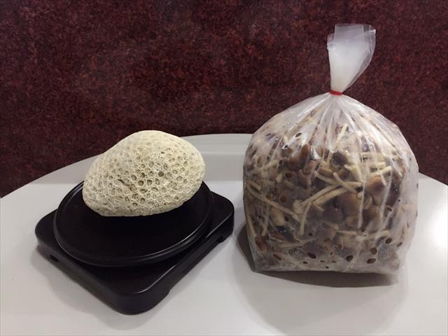 柳松菇 產品圖片（圖片編號 660208）