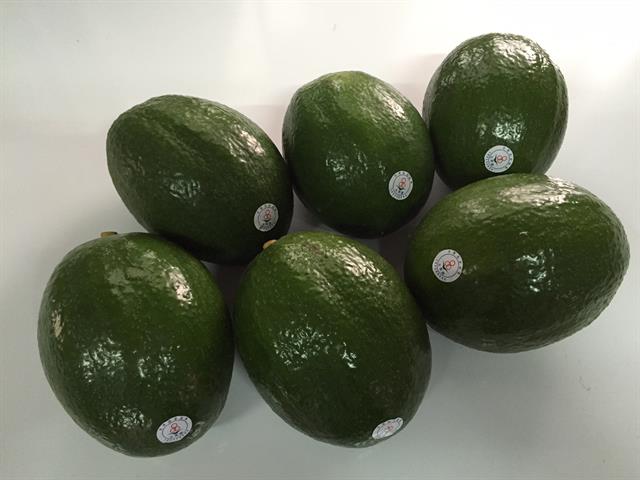 酪梨 產品圖片（圖片編號 661542）