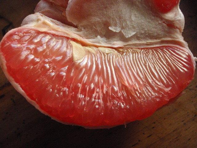 紅文旦 產品圖片（圖片編號 661779）